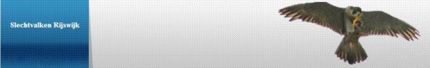Slechtvalken Rijswijk
